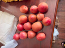 【超市精选】山东沙瓤水果西红柿新鲜番茄蔬菜减肥单果100g起 西红柿中大果 4斤 带箱 实拍图