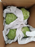 京鲜生山东新鲜绿甘蓝净重5斤单果200g+卷心菜甘蓝新鲜蔬菜 源头直发 实拍图
