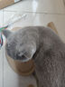 HELLOJOY猫抓板猫爬架一体耐磨不掉屑剑麻抓柱耐抓逗猫棒猫咪玩具自嗨解闷 实拍图