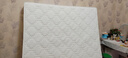 喜临门城市爱情大白垫 乳胶椰棕床垫 独袋弹簧 海绵垫子床架软硬两用 乳胶+独袋+椰棕(厚21cm) 1.8*2米 实拍图