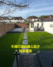 假草皮仿真草坪绿色地毯户外人造塑料人工仿生室外隔热围挡足球场 2厘米新升级加密优质春草 【1米宽/1米长】需要几米长拍几米（整卷25米） 实拍图