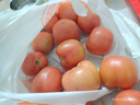 【超市精选】山东沙瓤水果西红柿新鲜番茄蔬菜减肥单果100g起 西红柿中大果 4斤 带箱 实拍图