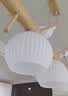 CH餐厅吊灯三头北欧原木风个性饭厅灯简约现代日式艺术小鸟餐桌灯具 【0533-3头】直盘原木色+三色光 实拍图