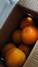 正宗无籽蜜橘酸甜可口新鲜薄皮蜜桔当季早熟水果 带箱2斤装 实拍图
