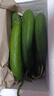 山东寿光水果黄瓜生吃脆新鲜荷兰青瓜当季无刺小黄瓜源头直发 精品水果黄瓜 2斤 实拍图