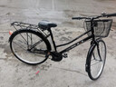凤凰（Phoenix）自行车女款男式复古普通勤新型省力上班代步轻便家用老式城市单车 26寸【全轴承/超轻便】仿蝶雅黑 实拍图