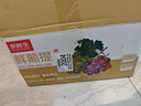 京觅 克伦生无籽红提葡萄 净重4斤 皮薄酸甜 新鲜水晶水果 源头直发 实拍图