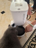 小佩宠物AI智能自动喂食器可视版 定时定量 猫狗宠物喂食 视频监控 实拍图
