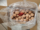 古力巴戈新疆185纸皮2025年新核桃2500g礼盒装送人坚果原味生核桃5斤 实拍图