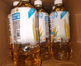 寿全斋玉米须茶无糖茶饮料凉茶荞麦养生水饮料大瓶整箱 750ml*12瓶 实拍图