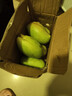 【双十一热卖】玉芒水果芒果新鲜上市 带箱4斤【单果200-300g】 实拍图