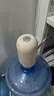 志高（CHIGO）双泵抽水器桶装水纯净水抽水器 桶装水取水器办公室自动上水器808 实拍图