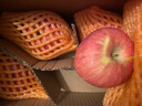 京鲜生 陕西洛川红富士苹果 净重5斤 单果85-90mm 新鲜水果 源头直发 实拍图