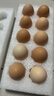 京鲜生鲜鸡蛋10枚/盒 健康轻食 营养健康1斤/盒 源头直发  实拍图