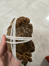 【活蟹】漁家师傅大闸蟹公5-5.3两母4-4.3两4对8只 去绳足重鲜活螃蟹现货生鲜礼盒 实拍图