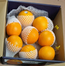 新奇士（Sunkist）澳洲黑标晚脐橙 4斤礼盒装 单果220g+ 新鲜水果礼盒 实拍图