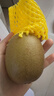佳沛（zespri）新西兰阳光金果6个装巨大果单果144-175g水果猕猴桃源头直发 实拍图