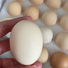 1号会员店One's Member Omega-3可生食标准鲜鸡蛋 30枚 单枚50g 源头直发 实拍图