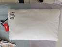 京东京造 檀香荞荞枕 大凉山舒适养生经典花草枕荞麦枕头枕型 单只装 实拍图
