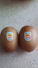 佳沛（zespri）新西兰 阳光金奇异果12粒礼盒特大果单果约122-146g 猕猴桃 水果 实拍图