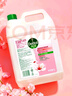 滴露（Dettol）洗手液补充装大桶消毒滋润5L 儿童家庭装杀菌护手 实拍图