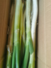 山东章丘大葱新鲜10斤蘸酱卷饼铁杆大葱5斤脆葱非圆洋东北红葱头 含箱5斤 【12H现挖】带皮 实拍图