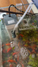 森森鱼缸过滤器三合一内置小型水族箱过滤系统增氧泵XQP-1000F 15W 实拍图