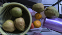 京鲜生树熟软糯红心芭乐 净重2.5斤装单果150g+ 番石榴 源头直发包邮 实拍图