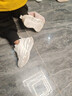 哈比熊（HOBIBEAR）童鞋春秋儿童运动鞋小白鞋男童鞋革面休闲女童鞋GS7593 白色28码 实拍图