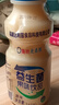 乳酸菌益生菌风味饮料乳酸菌饮品340ml/瓶早餐酸奶好喝 益生菌340ml*1瓶 实拍图