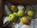 京鲜生 新疆库尔勒香梨 净重10斤 特级 单果120g以上 生鲜水果 实拍图