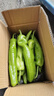 新鲜青尖椒超市生鲜蔬菜下饭菜虎皮尖椒鸡蛋伴侣 尝鲜 500g 含箱 实拍图