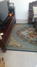 Brangdy欧式客厅地毯大面积全铺高级沙发茶几毯卧室床边房间耐脏地垫定制 欧式-6 200*300cm 实拍图