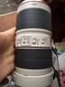 佳能/Canon EF70-200 F2.8 F4 IS二代小白兔大白二手长焦单反人像远摄全画幅镜头 佳能70-200 F2.8 II ISUSM小白兔 【99新】 晒单实拍图