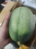 正宗哈密瓜西州蜜大果甜瓜新鲜采摘蜜瓜脆甜多汁整箱 哈密瓜4-5斤（1-2粒装） 实拍图