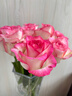 京东鲜花【艾莎】玫瑰花10枝如意基地鲜切花水养插花生活花束送礼源头直发 实拍图