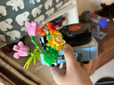 乐高（LEGO）积木拼装31172 鲜花唱片机男孩女孩儿童玩具生日圣诞礼物 实拍图