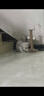 HELLOJOY猫抓板猫爬架一体耐磨不掉屑剑麻抓柱耐抓逗猫棒猫咪玩具自嗨解闷 实拍图