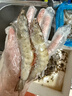 GUO LIAN国联 国产盐冻大虾 无冰净重3斤 特大号45-60只 白对虾海鲜生鲜 实拍图