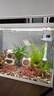 森森 超白玻璃智能桌面鱼缸一体缸自循环HE-480 实拍图