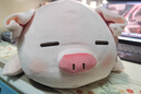 名创优品（MINISO）小猪B-BO弹力超柔趴姿毛绒公仔玩偶抱枕儿童玩具送女友生日礼物女 实拍图