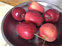 映棠 东北鸡心果5斤【顺丰快递—多地次日达】海棠果玫瑰小苹果礼盒装 3斤大果【人工精选】 现摘现发 实拍图
