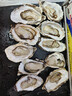 鲜京采 鲜活生蚝5XL 净重5斤 9-12只 鲜活到家 生鲜海鲜 源头直发 实拍图