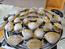 七叶岛丹东大黄蚬子鲜活速冻无沙纯野蛤蜊花甲黄贝扇贝海鲜贝类水产 黄蚬子 2kg 实拍图