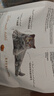 皇家猫粮 英短成猫粮 BS34 通用粮 12月以上 2KG 实拍图