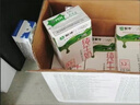 蒙牛全脂纯牛奶250ml*16盒 牛奶送礼盒装 电商定制 部分地区8月 实拍图