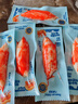 力诚宝宝 DHA高钙鳕鱼蟹味棒 儿童宝宝零食鳕鱼肠休闲即食蟹柳65g  实拍图