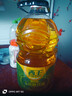 西王 食用油 玉米胚芽油 5L 非转基因物理压榨（新老包装交替发货） 实拍图
