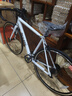 喜德盛公路自行车25款RC200成人车14速变速车 白灰700C*510MM 实拍图