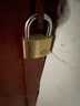 梅花（BLOSSOM）铜挂锁办公室宿舍铜锁仓库大铁门柜门锁防水防锈锁BC9040 实拍图